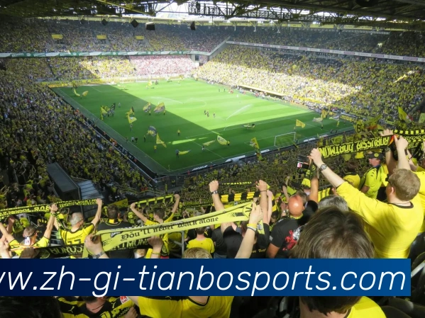 天博体育APP 体育赛事宣传图